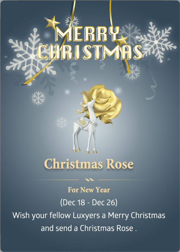 Christmas Rose